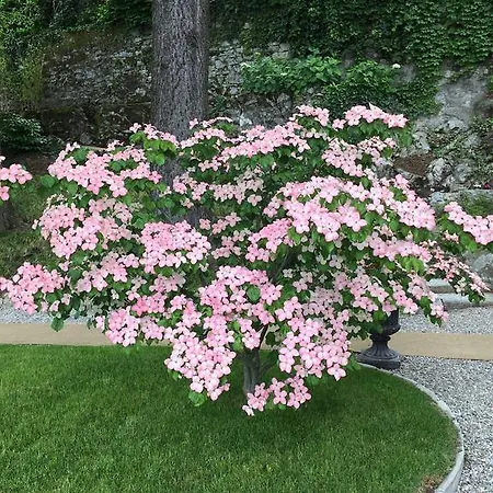 Relais Augusta *